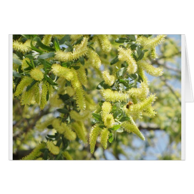 Bee Hälsningskort (Framsidan Horizontal)