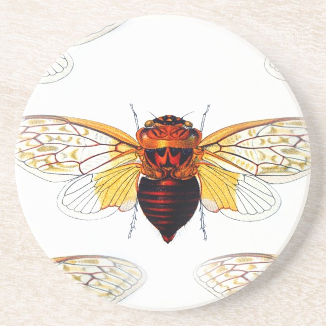 bee hibiscusgarde art underlägg (Framsidan)