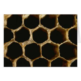 Bee Hive Hälsningskort
