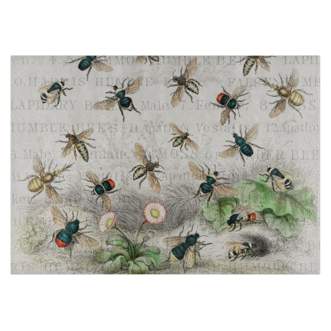 Bee Honung Worker Queen Bees Antique (Framsidan)