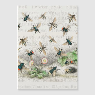 Bee Honung Worker Queen Bees Antique