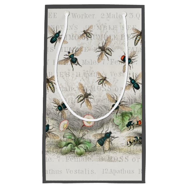 Bee Honung Worker Queen Bees Antique (Framsidan)