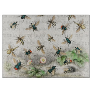 Bee Honung Worker Queen Bees Antique