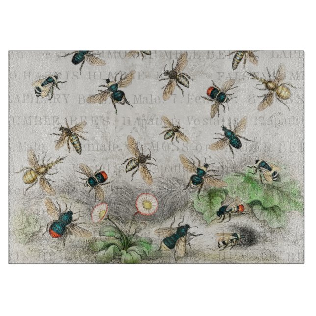 Bee Honung Worker Queen Bees Antique (Framsidan)