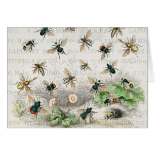 Bee Honung Worker Queen Bees Antique Hälsningskort