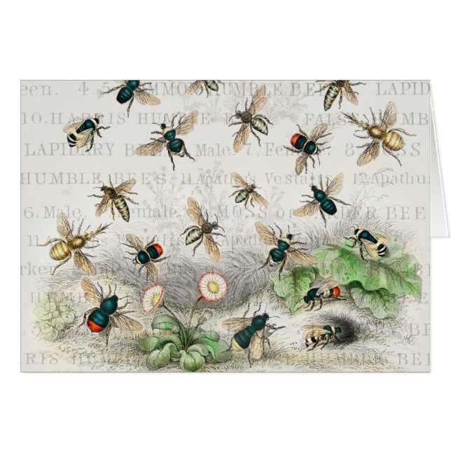 Bee Honung Worker Queen Bees Antique Hälsningskort (Framsidan Horizontal)