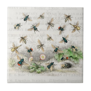 Bee Honung Worker Queen Bees Antique Kakelplatta