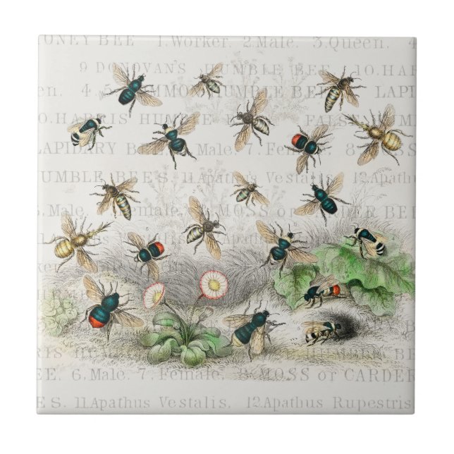 Bee Honung Worker Queen Bees Antique Kakelplatta (Framsidan)