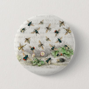 Bee Honung Worker Queen Bees Antique Knapp