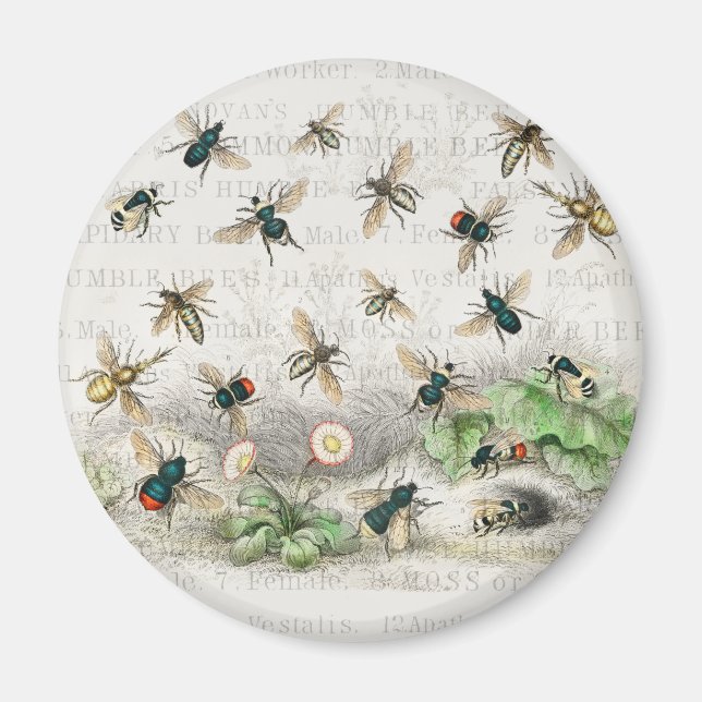 Bee Honung Worker Queen Bees Antique Magnet (Framsidan)
