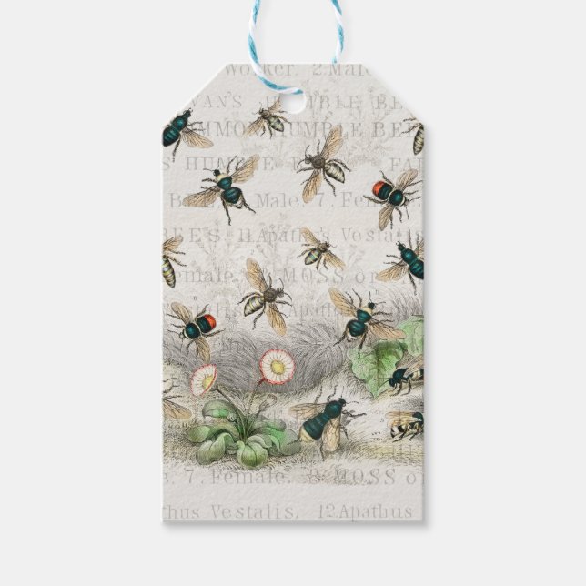 Bee Honung Worker Queen Bees Antique Presentetikett (Framsidan)
