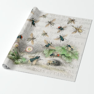 Bee Honung Worker Queen Bees Antique Presentpapper
