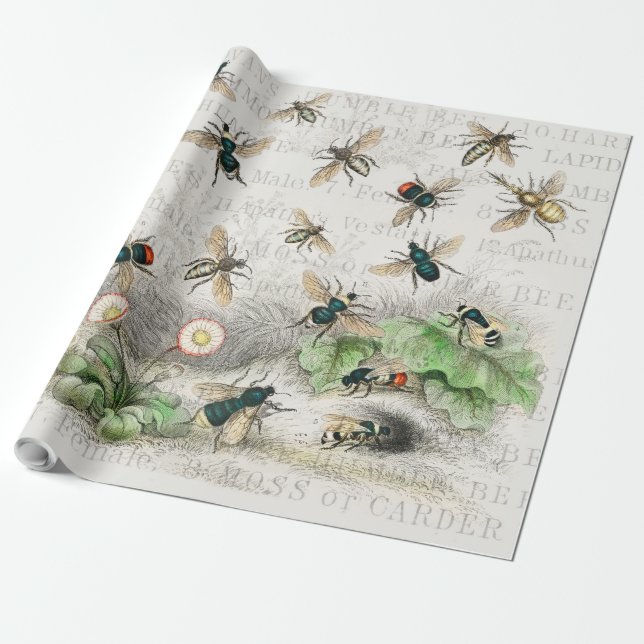 Bee Honung Worker Queen Bees Antique Presentpapper (Utrullad)