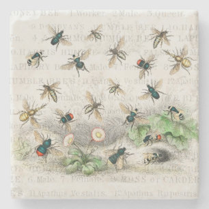 Bee Honung Worker Queen Bees Antique Stenunderlägg