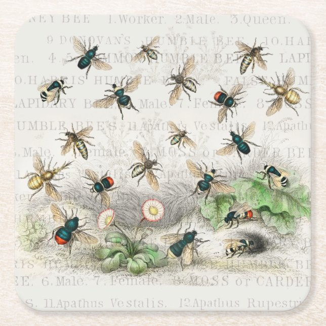 Bee Honung Worker Queen Bees Antique Underlägg Papper Kvadrat (Framsidan)