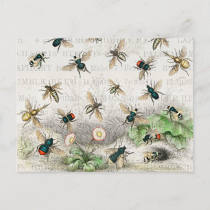 Bee Honung Worker Queen Bees Antique Vykort