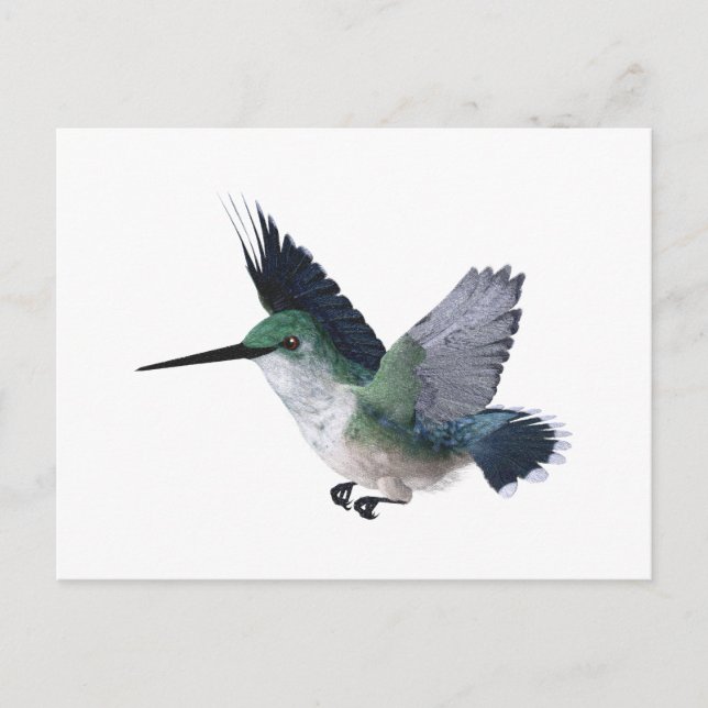 Bee Hummingbird Female Vykort (Framsida)