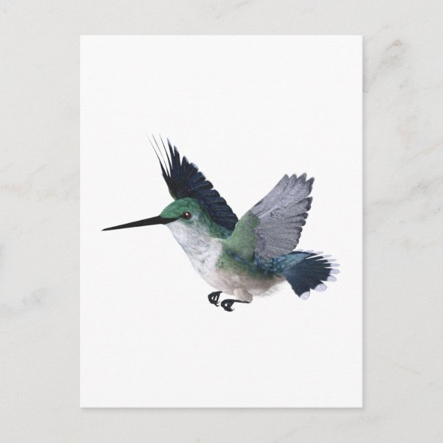 Bee Hummingbird Female Vykort (Framsida)