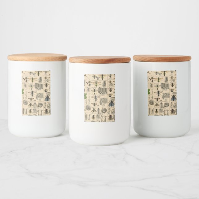 Bee Insect Bug Wasp Natural History Bees Mat Etikett (Flaskor)