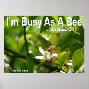 Bee - jag är upptagen, så Buzz av - Poster