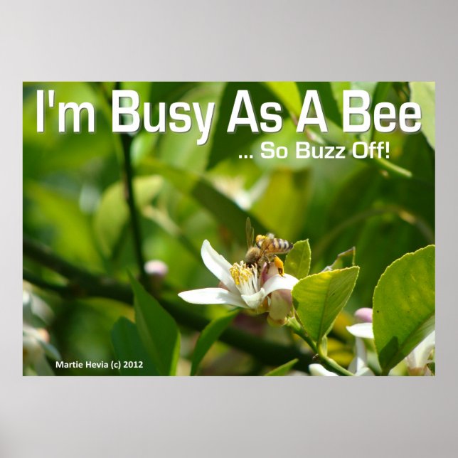 Bee - jag är upptagen, så Buzz av - Poster (Framsidan)