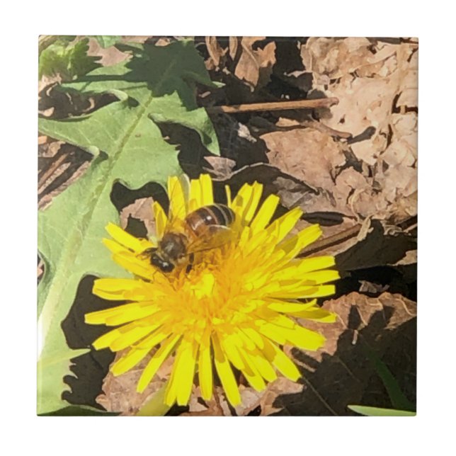 Bee Kakelplatta (Framsidan)