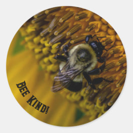 Bee Kind Stickers Runt Klistermärke