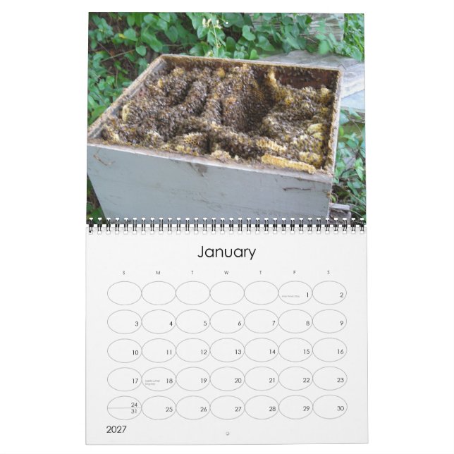 Bee Lycklig Calendar Kalender (Jan 2027)