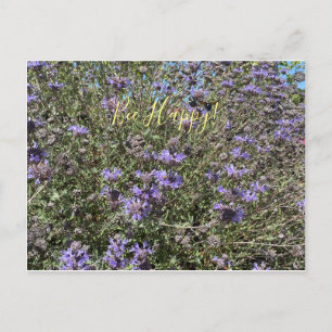 Bee Lycklig! Cleveland Sage Postcard Vykort
