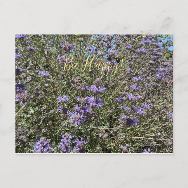 Bee Lycklig! Cleveland Sage Postcard Vykort (Framsida)