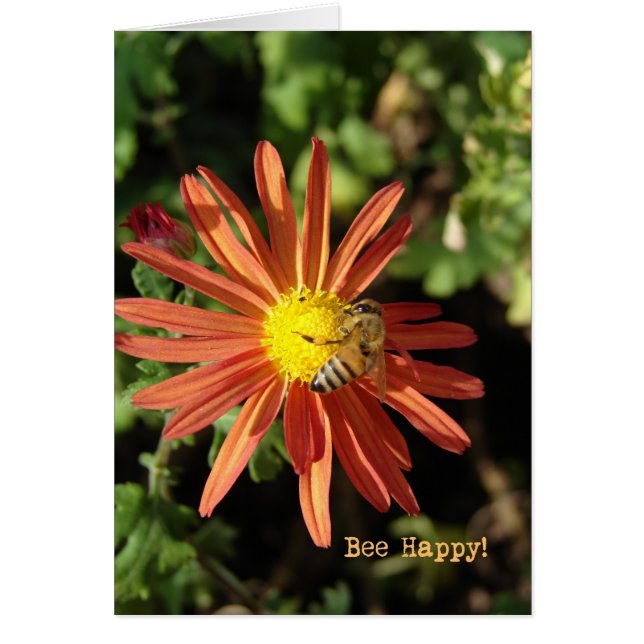Bee Lycklig Hälsningskort (Framsidan)