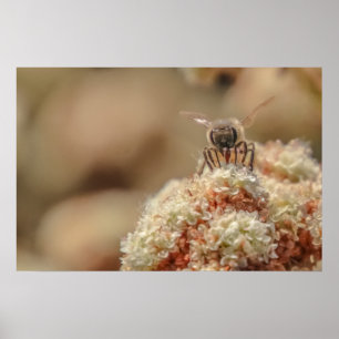 Bee Lycklig Poster