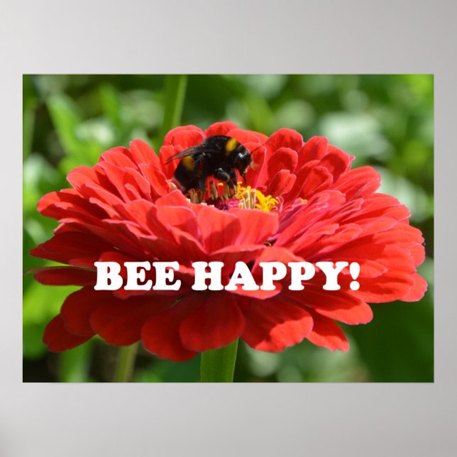 Bee Lycklig Red Flower Poster (Framsidan)