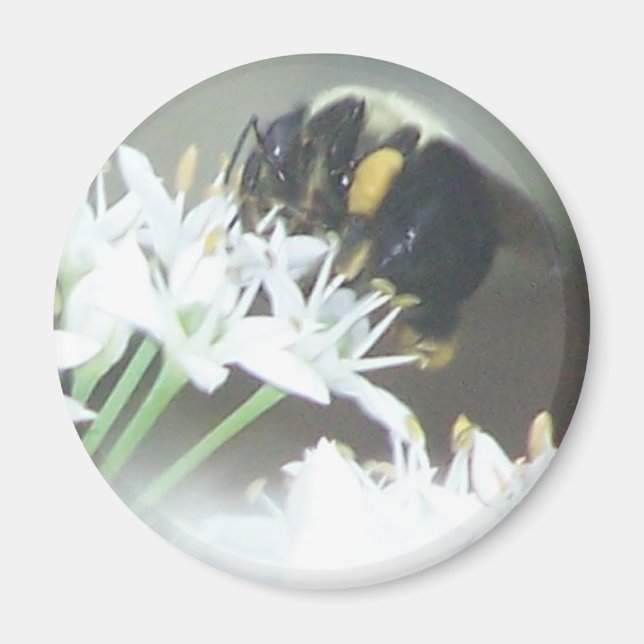 Bee Magnet (Framsidan)