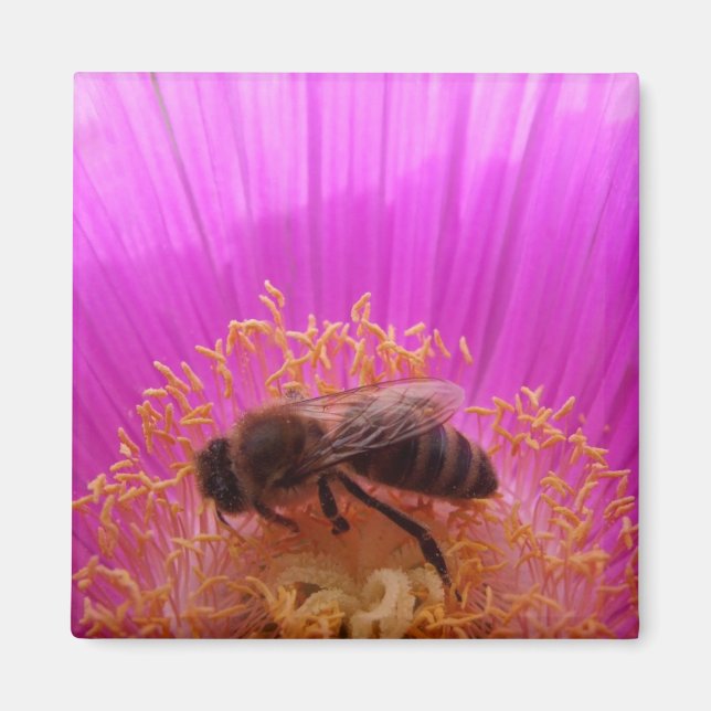 Bee Magnet (Framsidan)