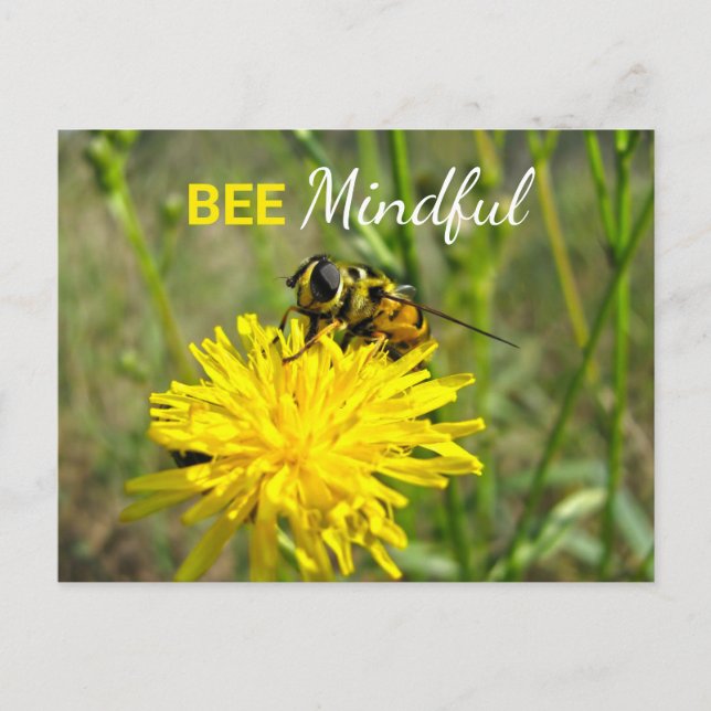 Bee Mindful Humla Dandelion Flower vycard Vykort (Framsida)