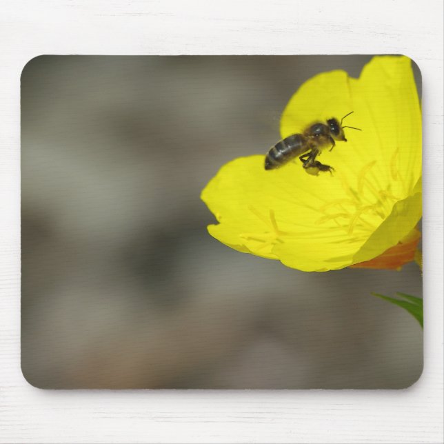 Bee Mousepad Musmatta (Framsidan)