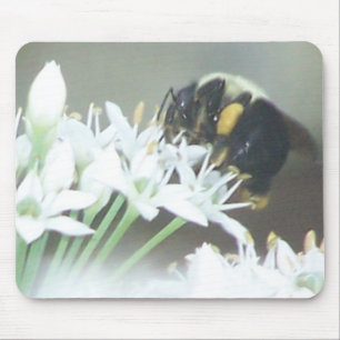 Bee Musmatta