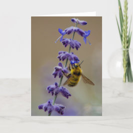 Bee-N-lavender-tackkort Tack Kort