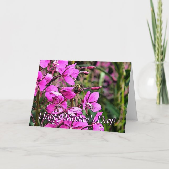 Bee Nice Kort (Framsida)