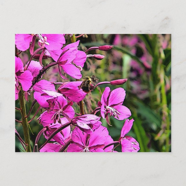 Bee Nice Vykort (Framsida)