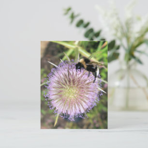 BEE OCH FLOWER VYKORT