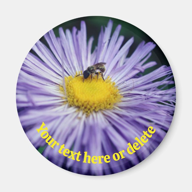 Bee On Purple Daisy Flower Personalized Magnet (Framsidan)