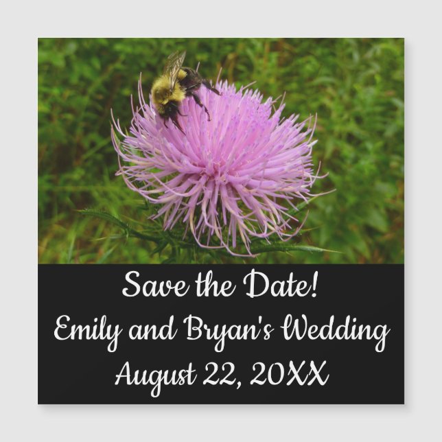 Bee on Thistle Flower Nature (Framsida)