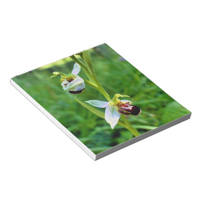 Bee Orchid Anteckningsblock (Vinklad)