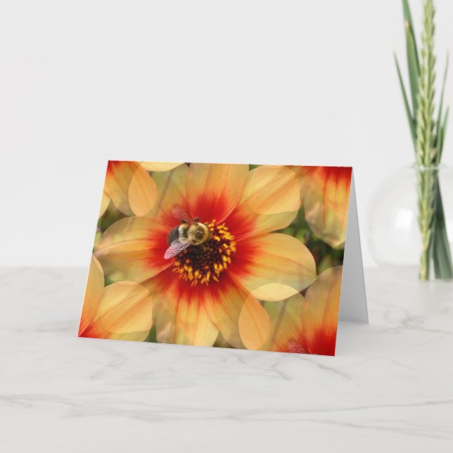 Bee på Dahlia Kort (Framsida)