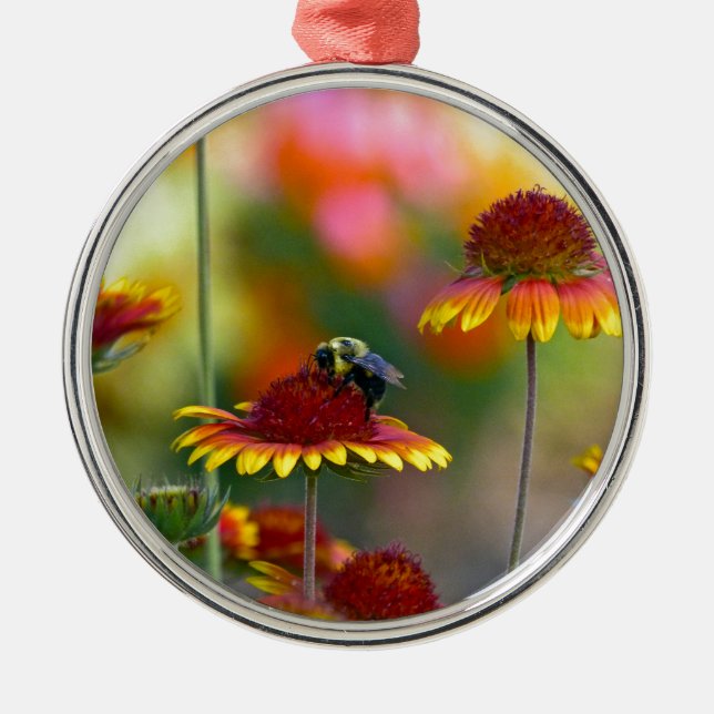 Bee på Gaillardia Julgransprydnad Metall (Framsidan)