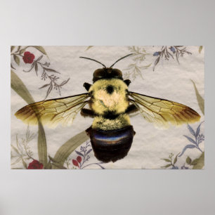 Bee Poster