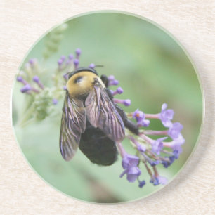 Bee-Snygg Bee Underlägg Sandsten