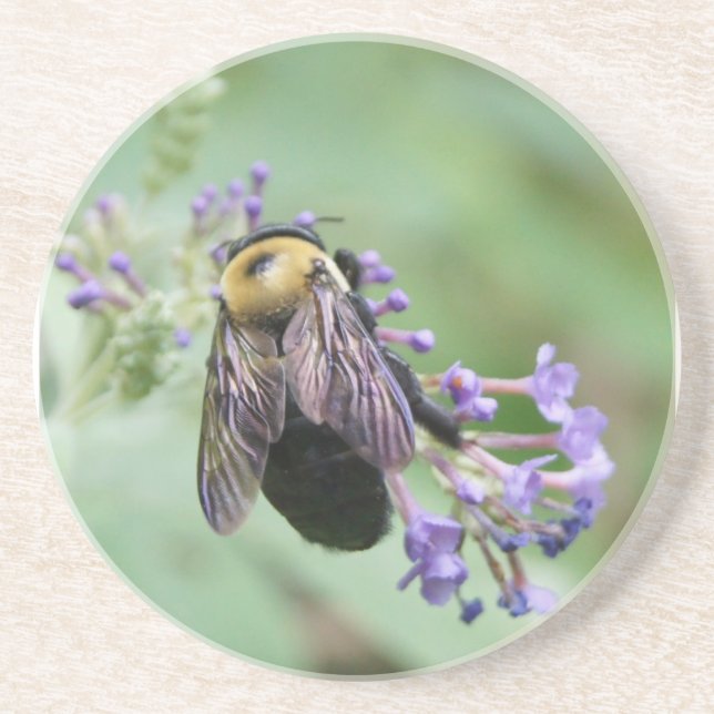 Bee-Snygg Bee Underlägg Sandsten (Framsidan)
